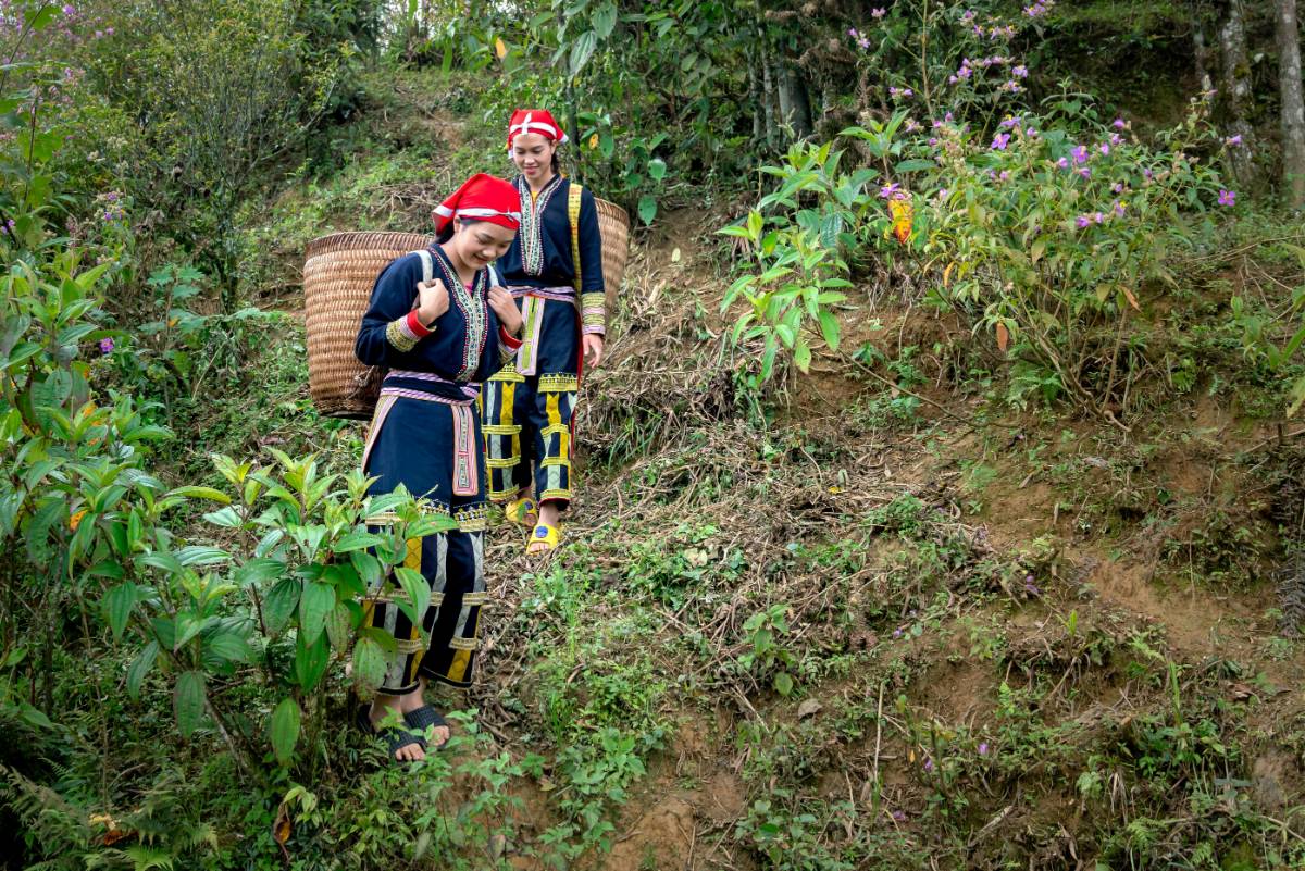 The Best Eco-Friendly Travel Tips for Sustainable Journeys