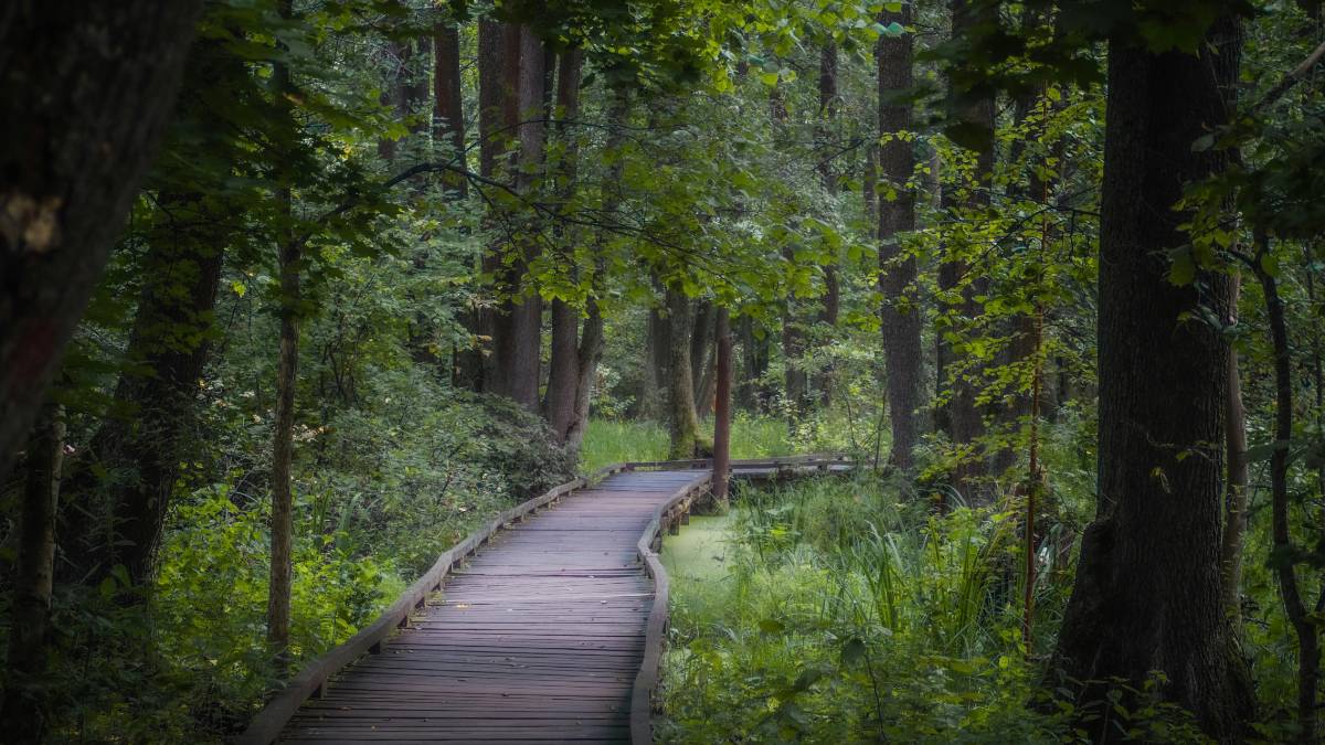 The Best Eco-Friendly Travel Tips for Sustainable Journeys