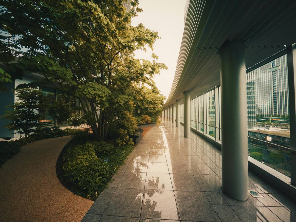 Sustainable Design for Urban Spaces: A Path to Eco-Cities