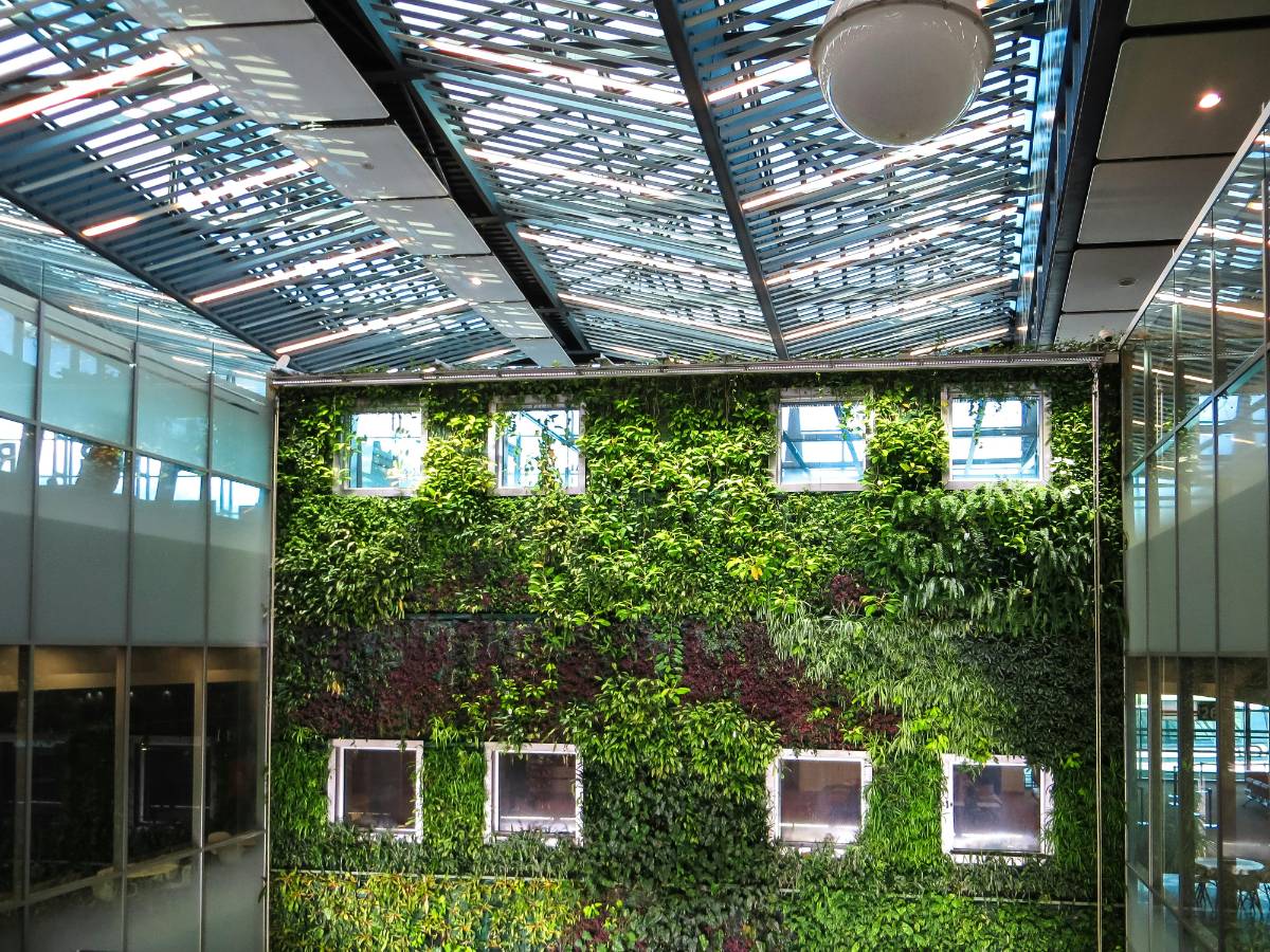 Green Roofs and Walls: A Sustainable Design Solution for Cities