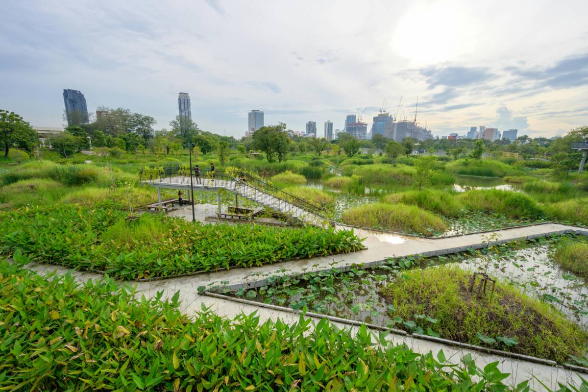 Eco-Friendly Landscaping: Sustainable Design for Outdoor Spaces