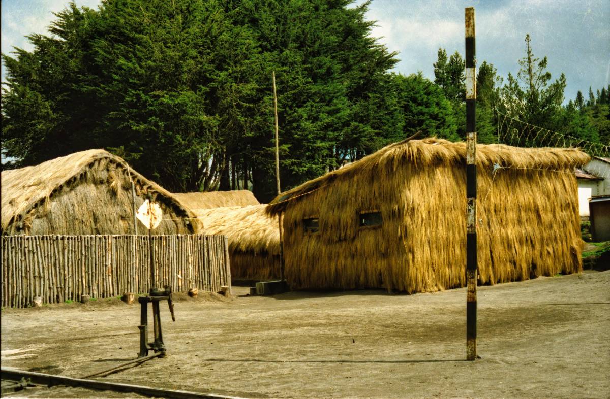 Affordable Sustainable Design: Building Green on a Budget