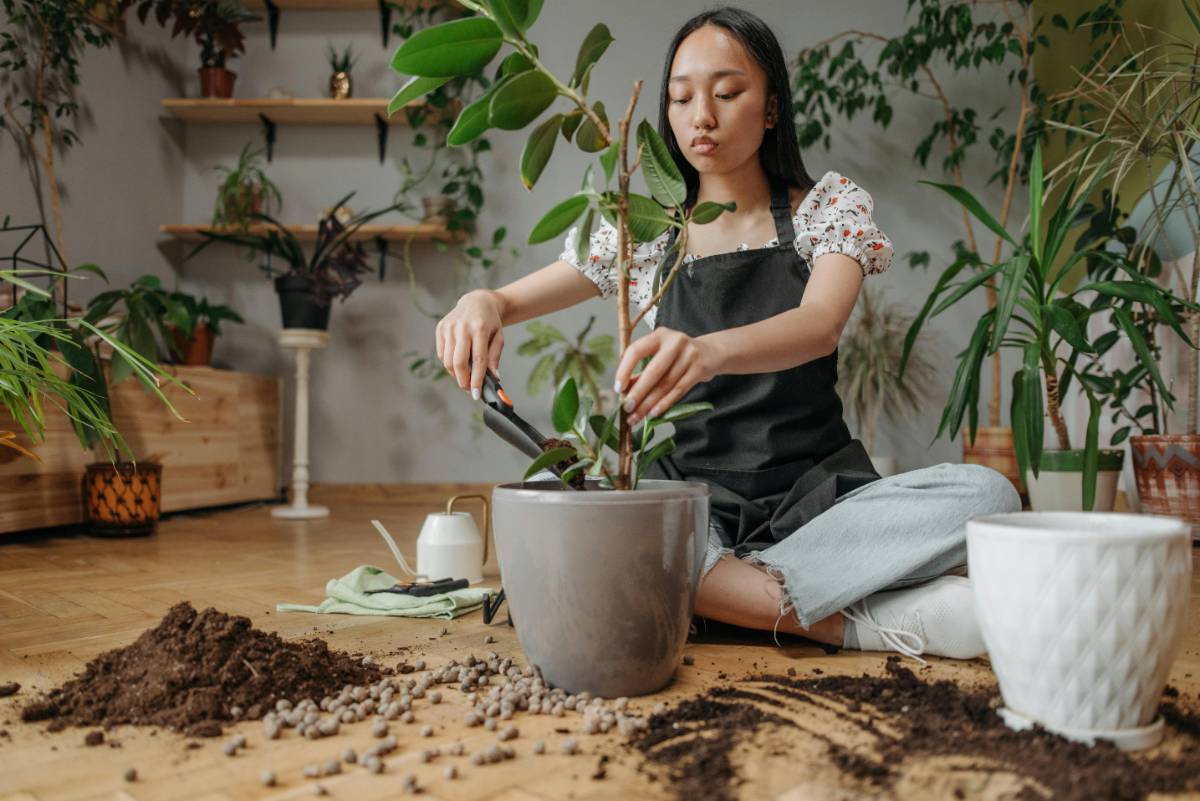 Eco-Friendly and Budget-Conscious Decor Ideas